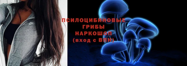 спайс Баксан