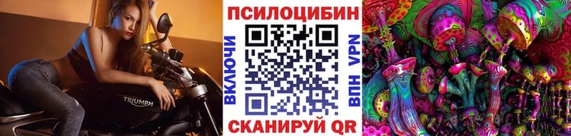 мориарти формула Озёры Псилоцибиновые грибы прущие грибы kraken онион